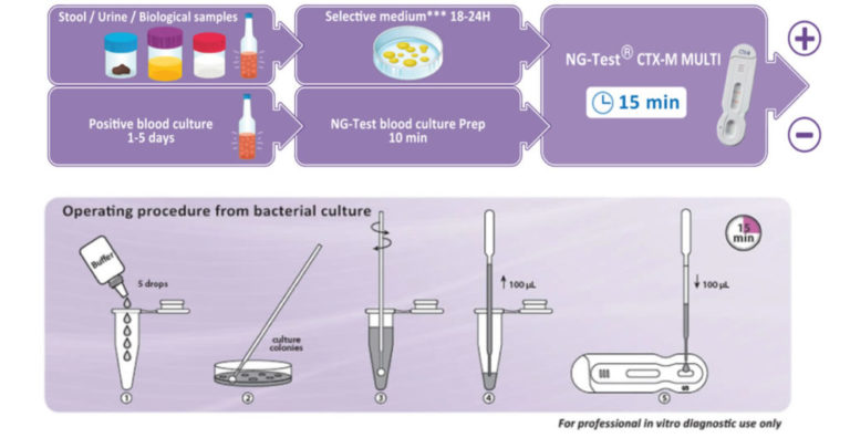 Esbl Resistance Detection - Ng Biotech